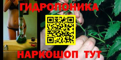 мяу мяу мука Кулебаки