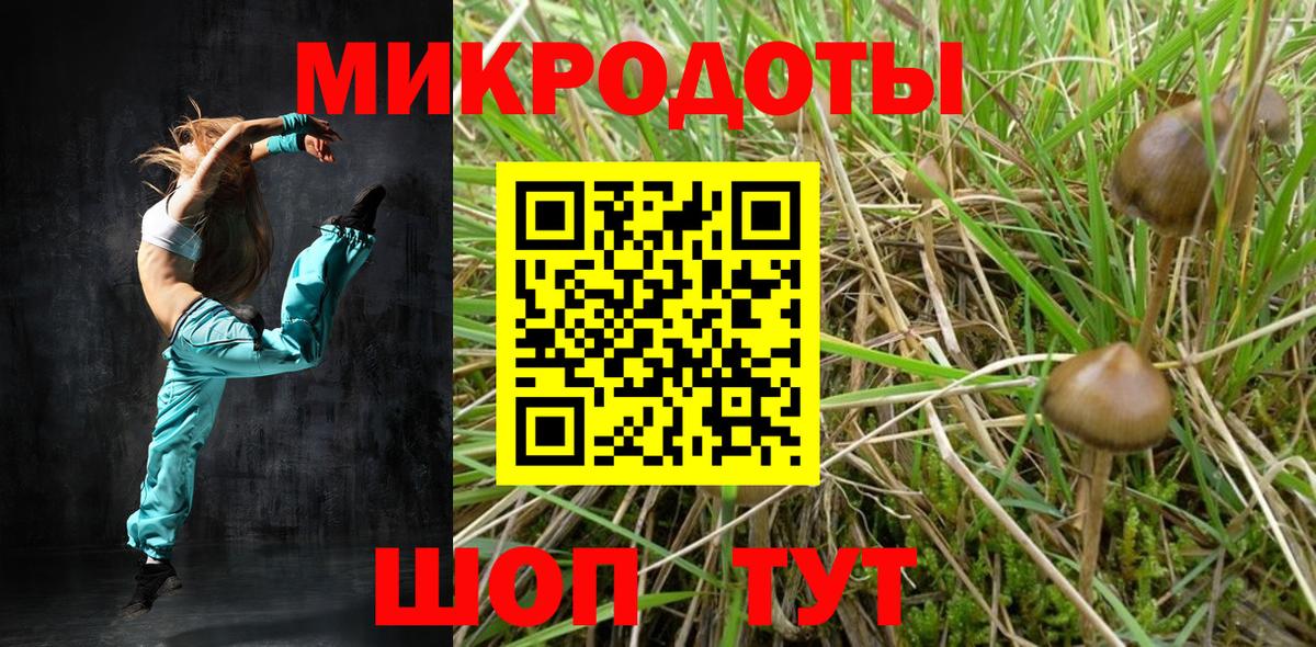 Галлюциногенные грибы Psilocybine cubensis  дарнет шоп  Клинцы  Псилоцибиновые грибы Psilocybine cubensis  Вход с VPN 